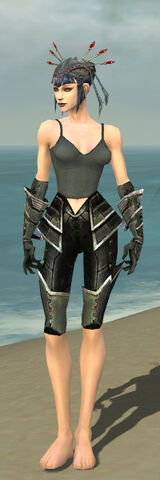 File:Necromancer Kurzick Armor F gray arms legs front.jpg