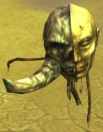 Awakened Head
