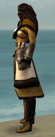 File:Ranger Norn Armor F dyed side.jpg
