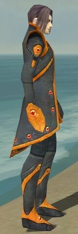 File:Elementalist Tyrian Armor M dyed side.jpg