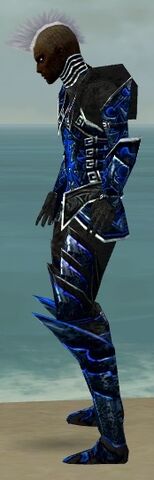 File:Necromancer Fanatic Armor M dyed side.jpg