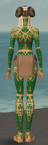 File:Monk Star Armor F dyed back.jpg