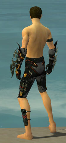 File:Assassin Elite Kurzick Armor M gray arms legs back.jpg