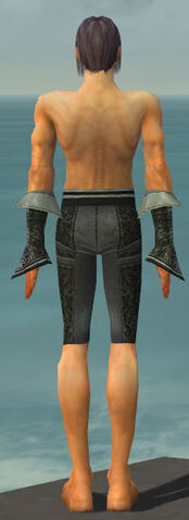 File:Elementalist Elite Canthan Armor M gray arms legs back.jpg