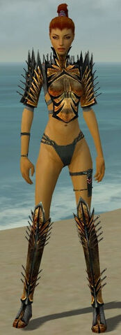 File:Assassin Elite Exotic Armor F gray chest feet front.jpg