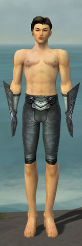 File:Elementalist Stormforged Armor M gray arms legs front.jpg