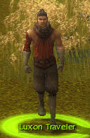 Luxon Traveler