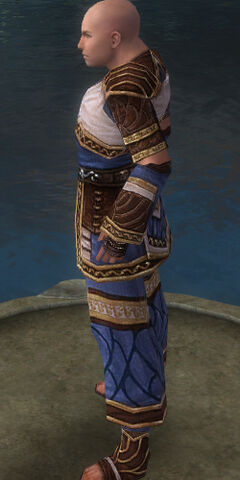File:Monk Elite Canthan Armor M dyed side.jpg