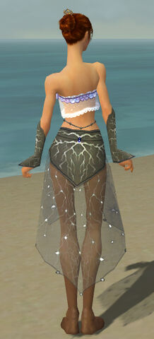 File:Elementalist Elite Stormforged Armor F gray arms legs back.jpg