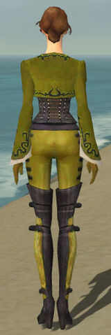 File:Mesmer Rogue Armor F dyed back.jpg