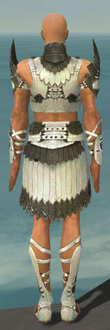 File:Paragon Sunspear Armor M gray back.jpg