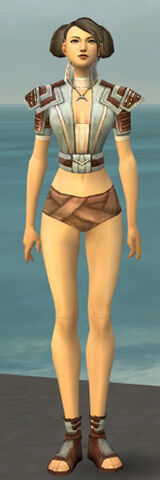 File:Monk Censor Armor F gray chest feet front.jpg
