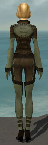 File:Mesmer Istani Armor F gray back.jpg