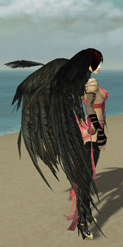 File:Raiment of the Lich F dyed side.jpg