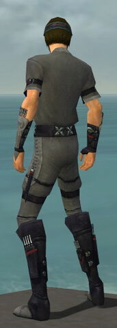 File:Assassin Shing Jea Armor M gray back.jpg