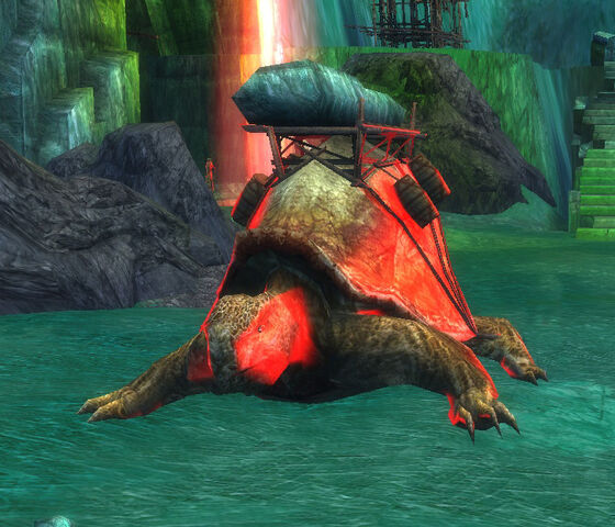 File:Hauler Turtle.jpg