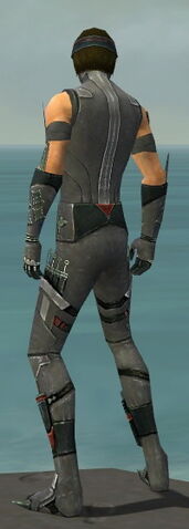 File:Assassin Canthan Armor M gray back.jpg