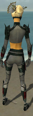 File:Assassin Seitung Armor F gray back.jpg