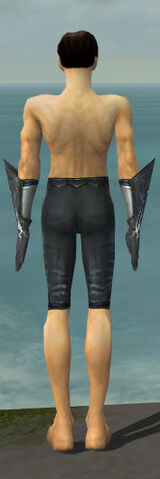 File:Elementalist Stormforged Armor M gray arms legs back.jpg