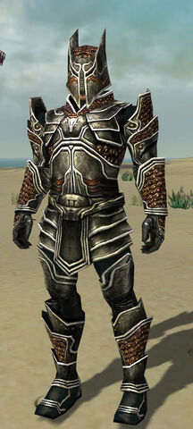 File:Warrior Kurzick Armor M dyed front.jpg
