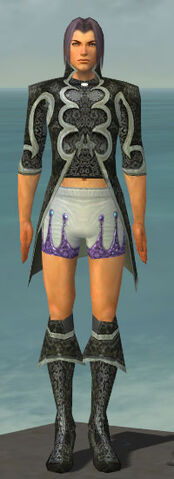 File:Elementalist Elite Canthan Armor M gray chest feet front.jpg
