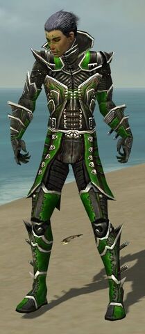 File:Necromancer Elite Kurzick Armor M dyed front.jpg