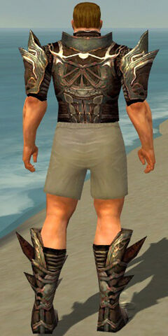 File:Warrior Monument Armor M gray chest feet back.jpg