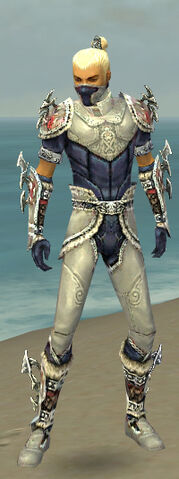 File:Assassin Norn Armor M dyed front.jpg