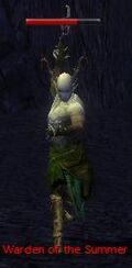 Warden of the Summer