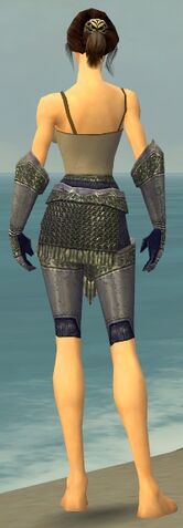 File:Warrior Platemail Armor F gray arms legs back.jpg
