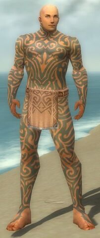 File:Monk Flowing Armor M gray front.jpg