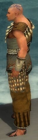 File:Monk Sunspear Armor M gray side.jpg