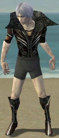 File:Necromancer Vabbian Armor M gray chest feet front.jpg