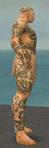 File:Monk Dragon Armor M gray side.jpg