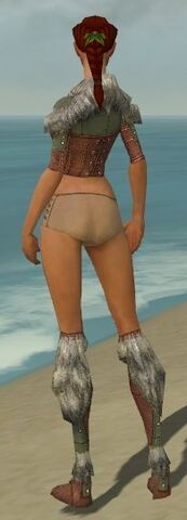 File:Ranger Fur-Lined Armor F gray chest feet back.jpg
