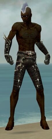 File:Necromancer Shing Jea Armor M gray arms legs front.jpg