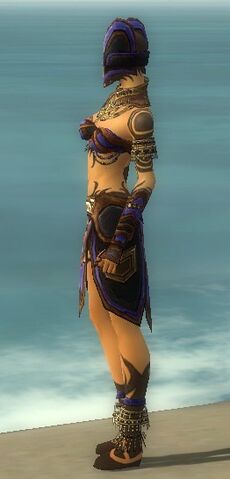 File:Ritualist Monument Armor F dyed side.jpg