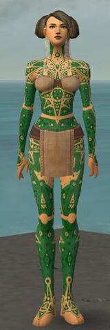 File:Monk Star Armor F dyed front.jpg