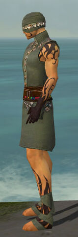 File:Ritualist Shing Jea Armor M gray side.jpg