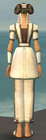 File:Monk Sacred Armor F gray back.jpg