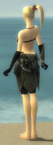 File:Ritualist Kurzick Armor F gray arms legs back.jpg