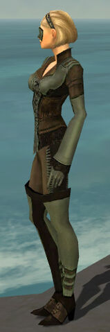 File:Mesmer Istani Armor F gray side.jpg