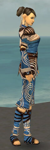 File:Monk Canthan Armor F dyed side.jpg