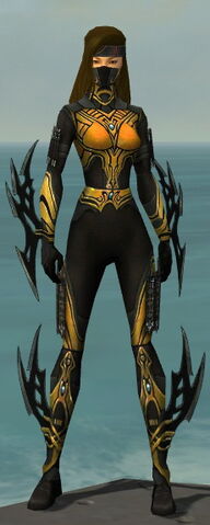 File:Assassin Vabbian Armor F dyed front.jpg