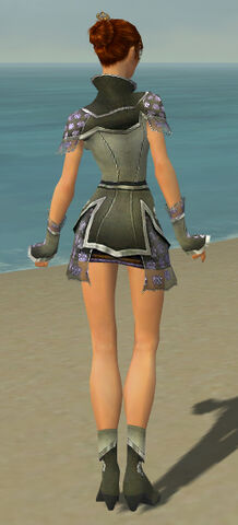 File:Elementalist Shing Jea Armor F gray back.jpg