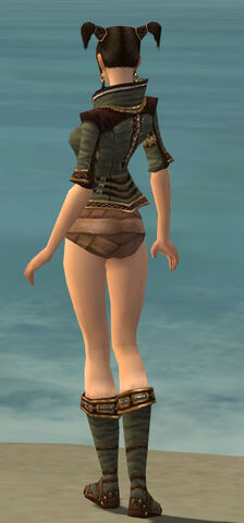 File:Monk Elite Kurzick Armor F gray chest feet back.jpg