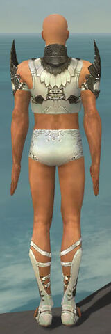 File:Paragon Sunspear Armor M gray chest feet back.jpg