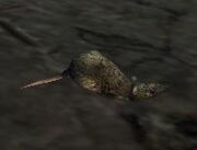 ZinKu Rat