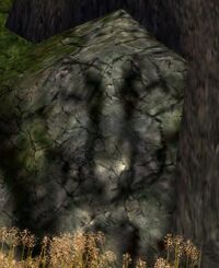 Rock face