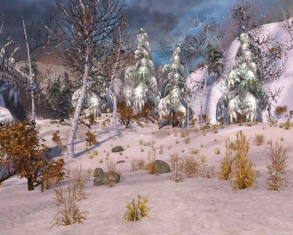 File:Frozen Forest 1000x800.jpg